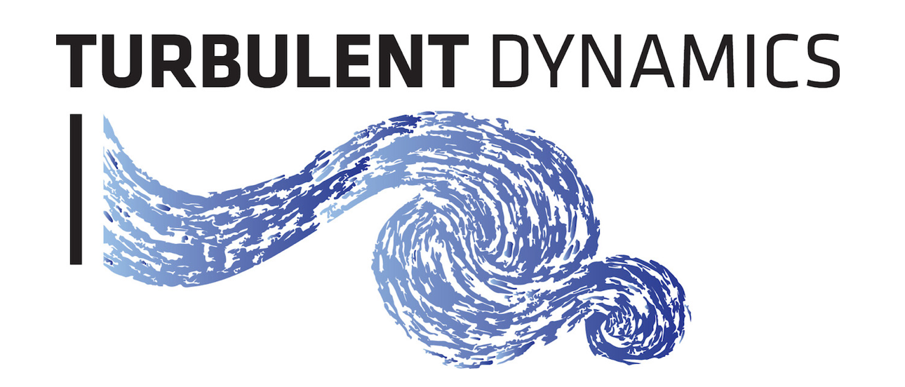 Turbulent Dynamics Logo